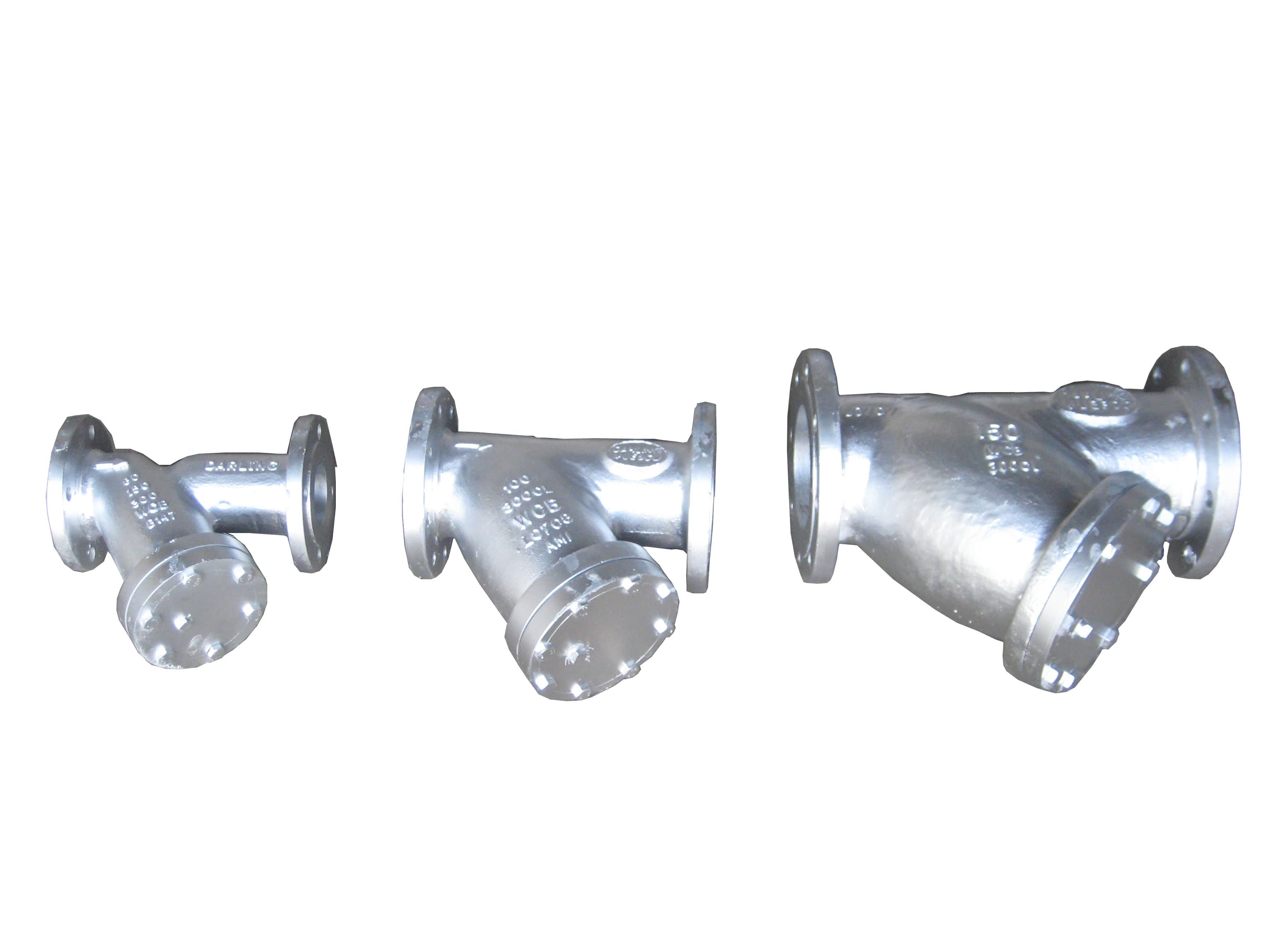 Carbon steel flanged Y-type strainer for steam, water and gas filtration, supplied in Nepal
