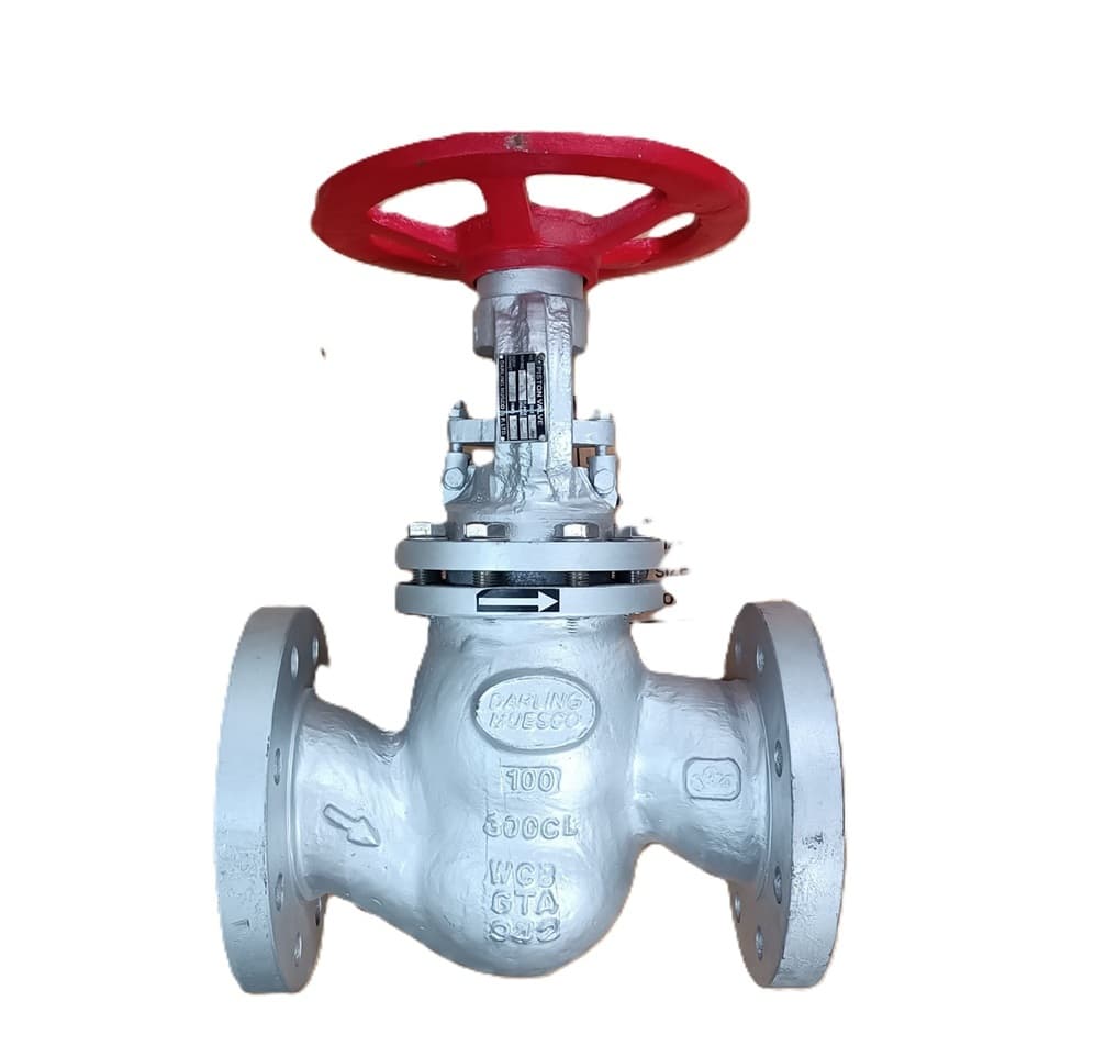Seatless and glandless piston valve for steam and process lines, supplied in Nepal