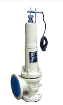 Bellows-sealed safety relief valve in 316L stainless steel for corrosive media, supplied in Nepal